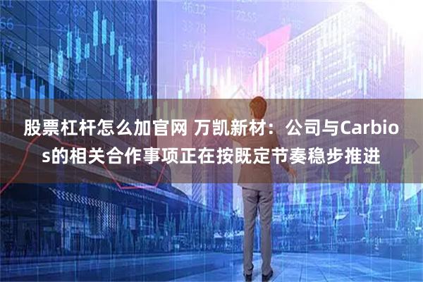 股票杠杆怎么加官网 万凯新材：公司与Carbios的相关合作事项正在按既定节奏稳步推进