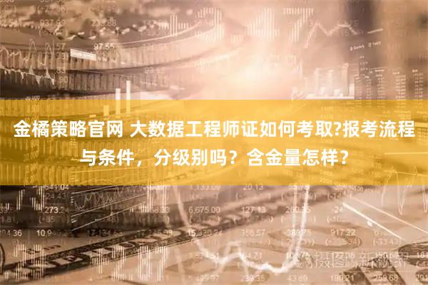 金橘策略官网 大数据工程师证如何考取?报考流程与条件，分级别吗？含金量怎样？