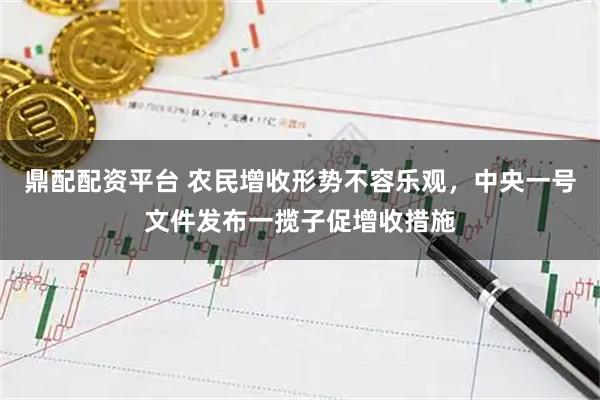 鼎配配资平台 农民增收形势不容乐观，中央一号文件发布一揽子促增收措施