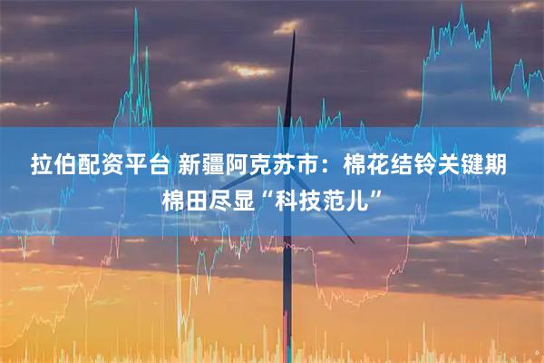 拉伯配资平台 新疆阿克苏市：棉花结铃关键期 棉田尽显“科技范儿”